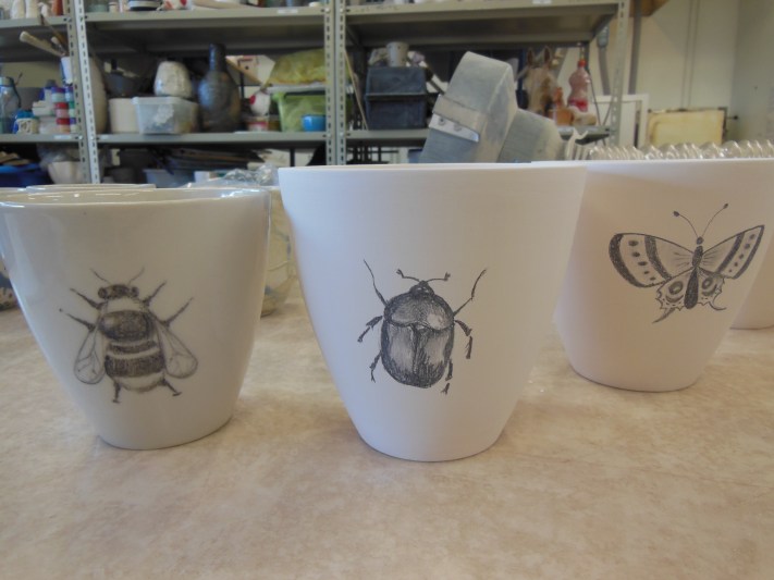 MuggariRadOlikastorlek