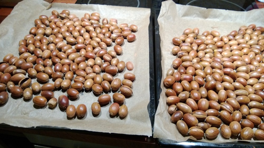 Windows Phone_20131001_004